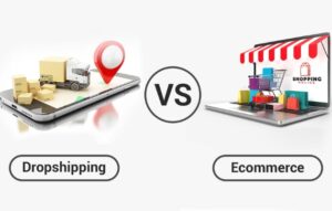 E-Commerce Store or Dropshipping