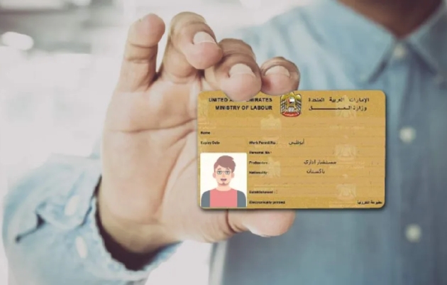 How to Find Labour Card Number in UAE